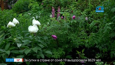 Руки садовода — садовые работы в июне!