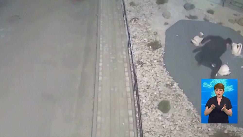 Вандалов, разгоромивших фигуры в парке, задержали