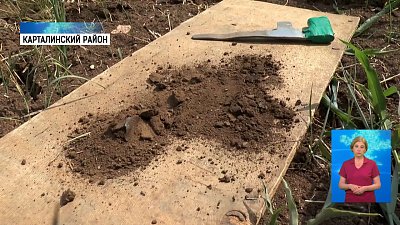 Из-за жары гибнут посевы