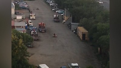 Тест-драйв конфискованного мотоцикла по автостоянке снял на видео челябинец 