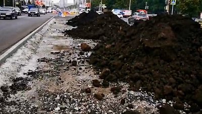 Челябинцы на видео выразили недовольство посадкой растений в бетон на Комсомольском проспекте 