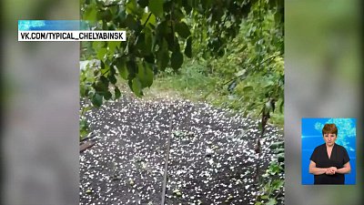 В выходные в регионе прошел ураган