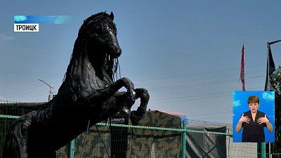 Житель Троицка сделал коня из шин