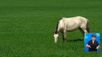 Пастуха и его лошадь убило молнией