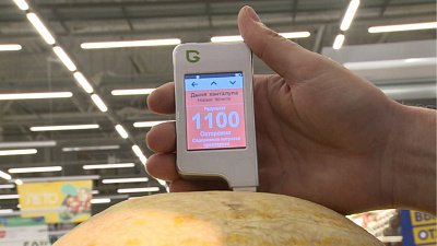 Арбузы и дыни в Челябинске проверили на содержание нитратов