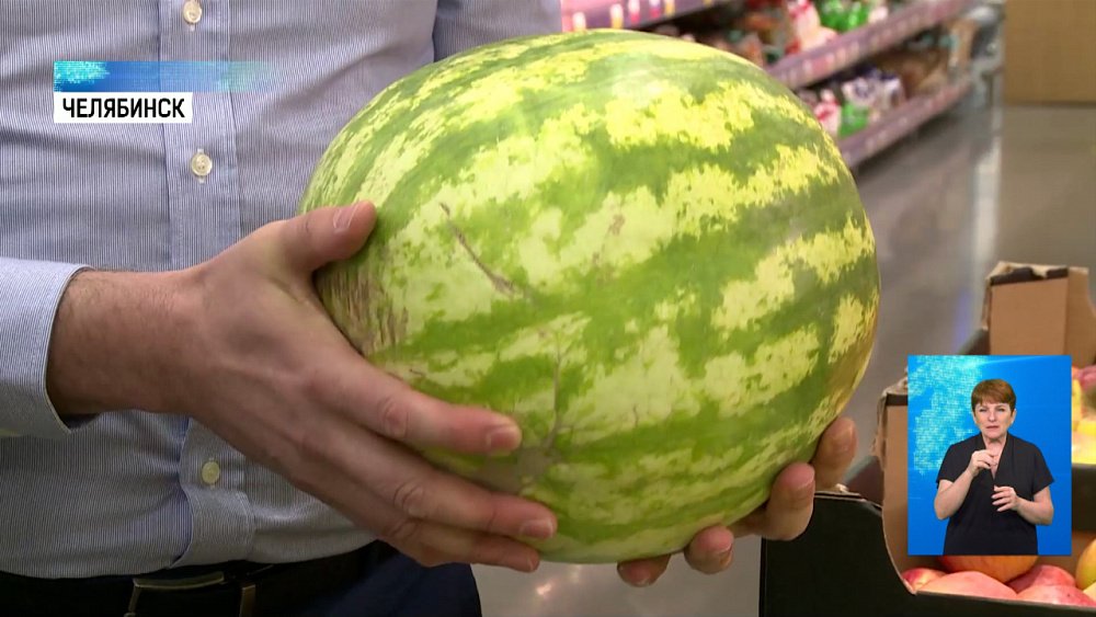 Выбираем арбуз без нитратов