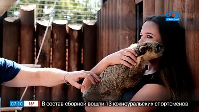 Носухи в рубрике «Живой репортаж»