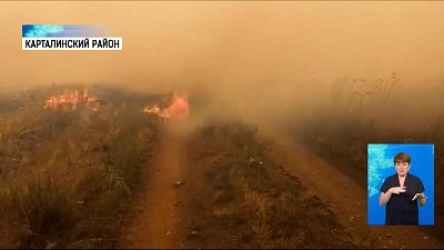Пожар в Карталинском районе