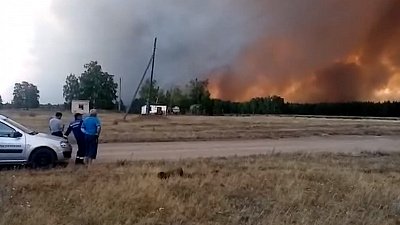 Лесные пожары угрожают четырем населенным пунктам на юге Челябинской области