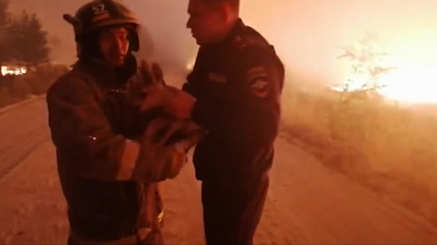 Спасение олененка из огненного плена на юге Челябинской области сняли на видео