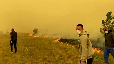 Пожар в Карталинском районе