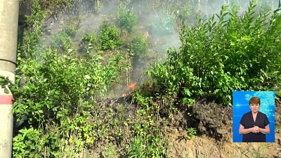 Горит лес около железной дороги