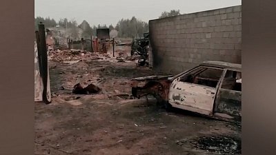 Появились кадры последствий лесных пожаров на юге Челябинской области