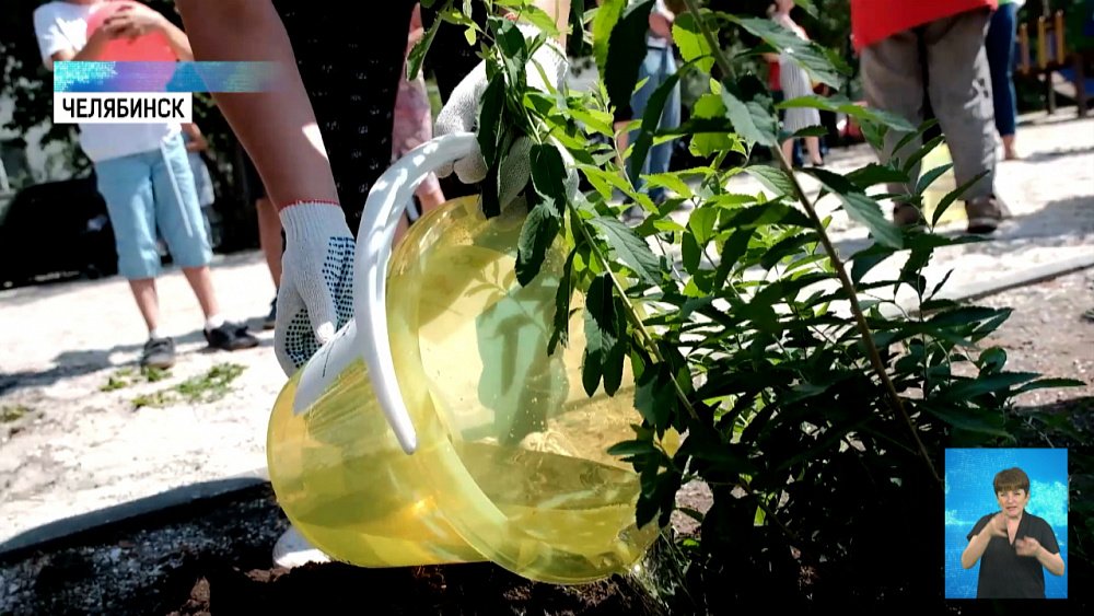 Стартовала акция по озеленению дворов