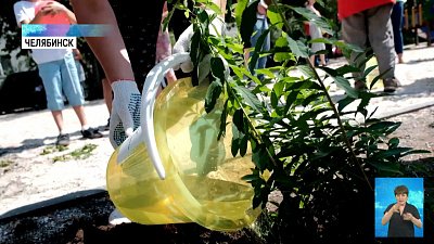 Стартовала акция по озеленению дворов