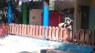 В Миассе детский сад атаковал рой ос