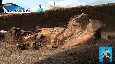 Археологи нашли останки младенца эпохи бронзы