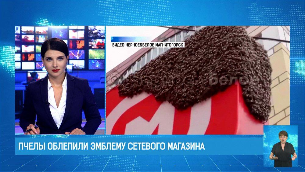 Пчелы облепили эмблему сетевого магазина