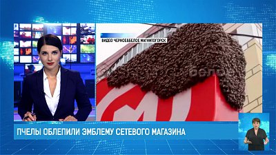 Пчелы облепили эмблему сетевого магазина