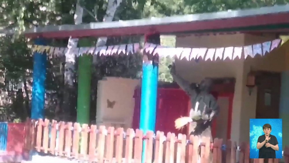 Рой ос атаковал детский сад в Миассе