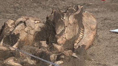 В Челябинской области нашли захоронение с останками младенца эпохи бронзового века