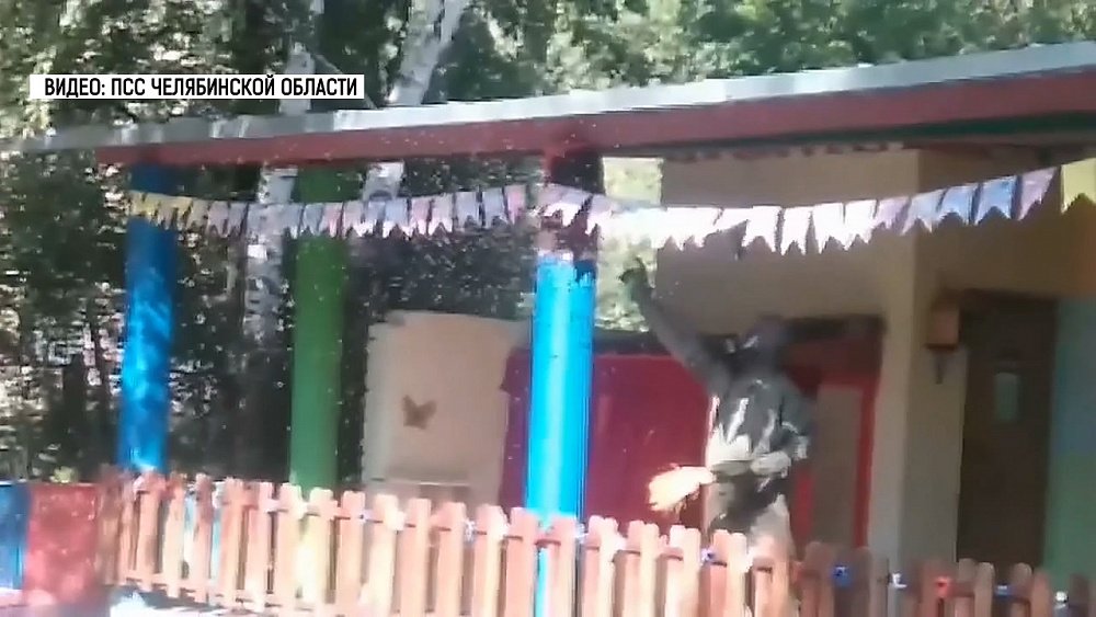 Рой ос захватил веранду в детском саду Миасса