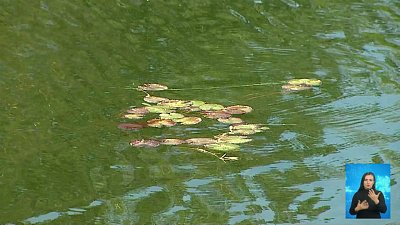 Рыбак утонул в карьере