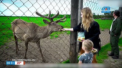 Оленеводческая ферма в Висиме в рубрике «Геометка: Урал»