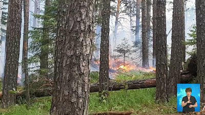 Пожарные и спасатели потушили пламя в лесу