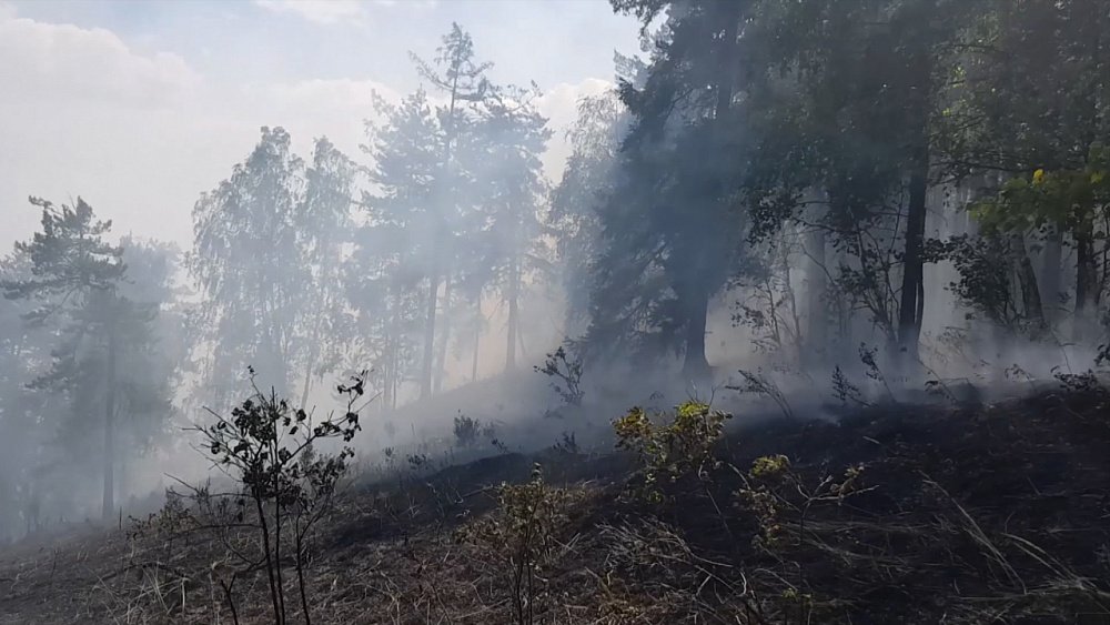 Происшествия недели 17.07.2021