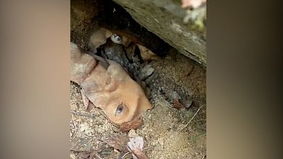 Мистическая находка под Миассом попала на видео