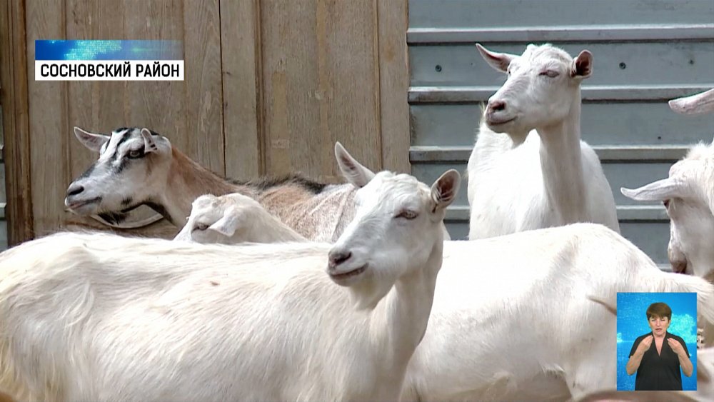 В регионе снизили сельскохозяйственный налог