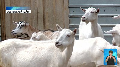 В регионе снизили сельскохозяйственный налог