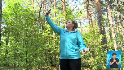 Что делать, если потерялся в лесу?