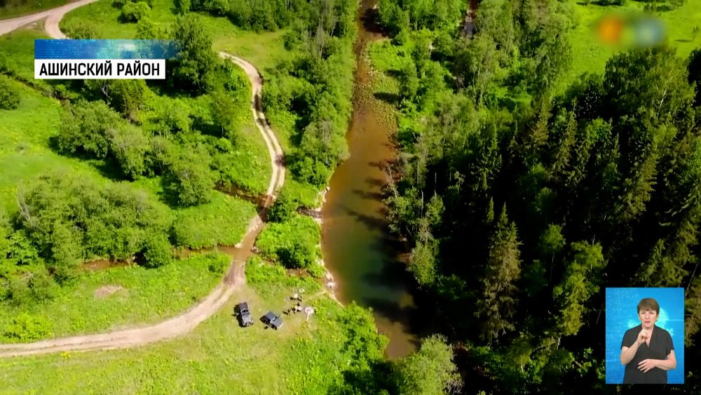 В реке Сим живет елец и налим