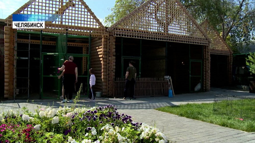 Как помочь питомцам летом?