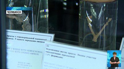 В Челябинске оцифруют музей эмбрионов