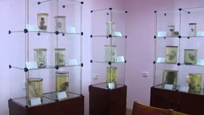 В Челябинске отсканируют более 300 эмбрионов из коллекции ЮУГМУ