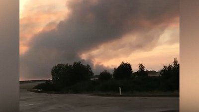 В Брединском районе из-за лесного пожара эвакуировали детский лагерь