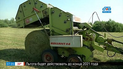 Готовь сани летом в сюжете «Деревня готовится к зиме»