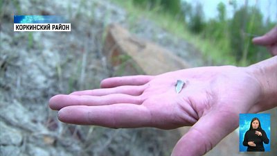 Геологи обнаружили зубы древних акул