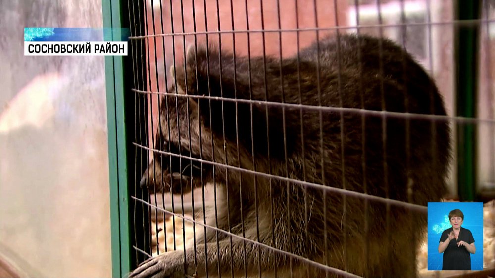 «Мой бизнес» помогает фермерским хозяйствам 