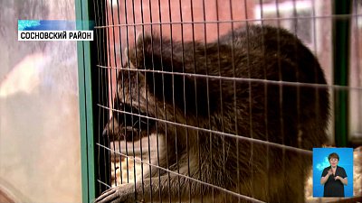 «Мой бизнес» помогает фермерским хозяйствам 