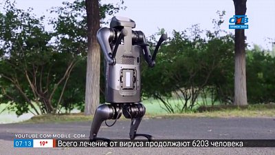 Новый киберпёс в рубрике «Инспектор Гаджет»