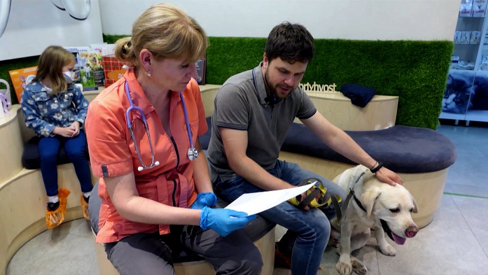 Ветеринарный список лекарств хотят увеличить