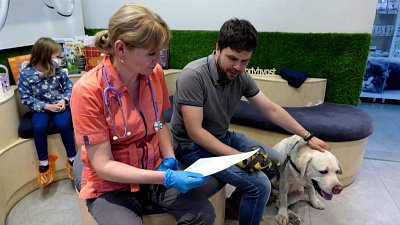 Ветеринарный список лекарств хотят увеличить