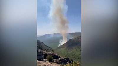 В Башкирии 750 детей эвакуировали из детского лагеря из-за лесного пожара