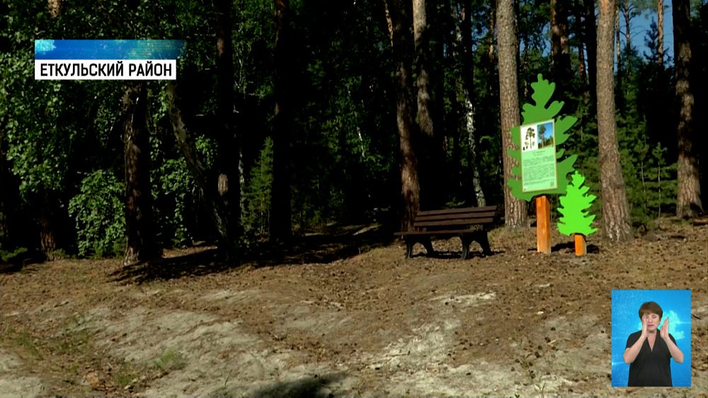 Экотропу открыли в Еткульском бору