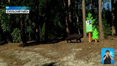 Экотропу открыли в Еткульском бору Экотропу открыли в Еткульском бору
