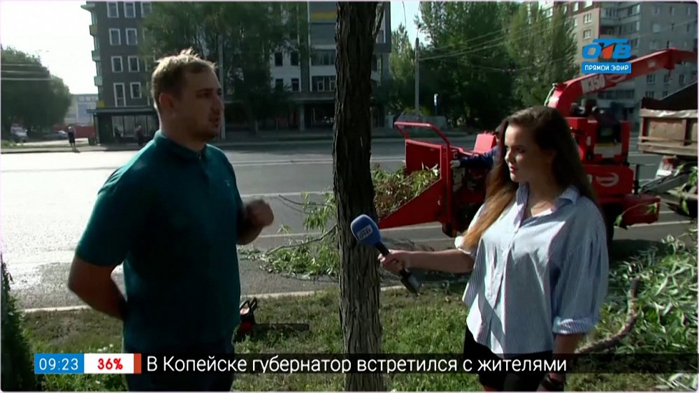 На Комсомольском проспекте пилят сухостой — прямое включение